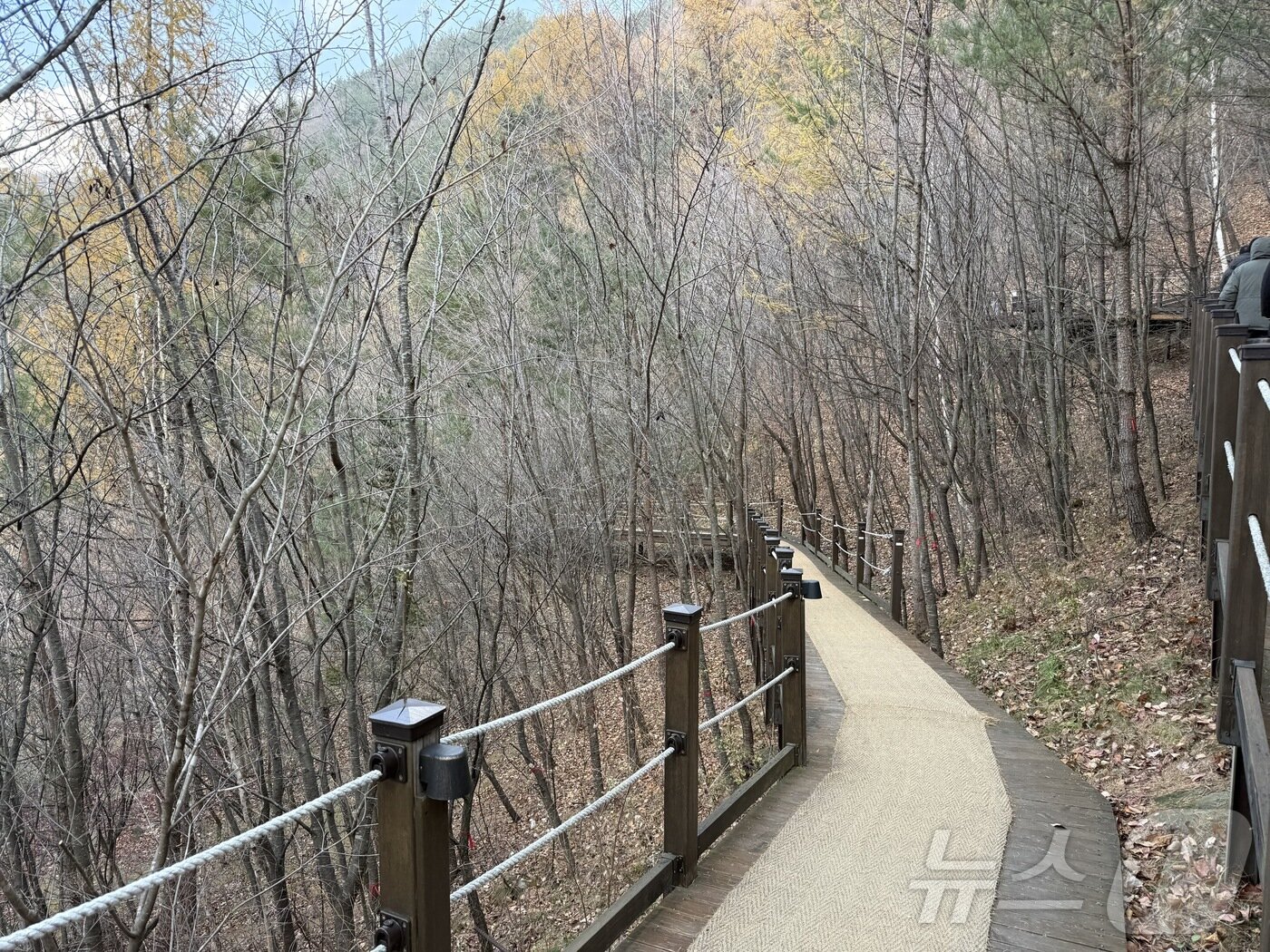 본문 이미지 - 달팽이 숲길 초입ⓒ News1 윤슬빈 관광전문기자