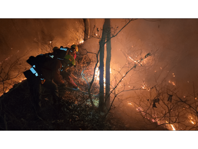 본문 이미지 - 강원 양양 산불 진화에 나선 진화대원들.&#40;산림청 제공, 재판매 및 DB금지&#41;