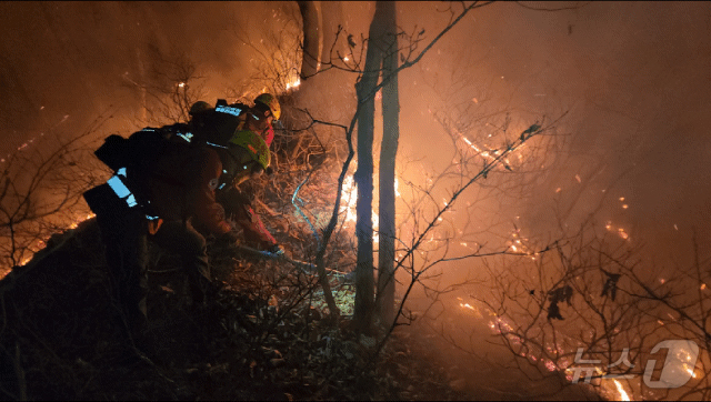 (양양=뉴스1) = 23일 새벽 강원 양양 서면 일대에서 발생한 산불 현장에서 진화대원이 야간 진화 작전을 펼치고 있다. 이번 산불은 22일 오후 6시 16분쯤 서면 서림리의 한 …