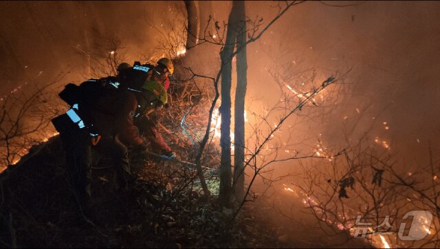 본문 이미지 - 23일 새벽 강원 양양 서면 일대에서 발생한 산불 현장에서 진화대원이 야간 진화 작전을 펼치고 있다. &#40;동부지방산림청 제공, 재판매 및 DB 금지&#41; 2025.11.23/뉴스1