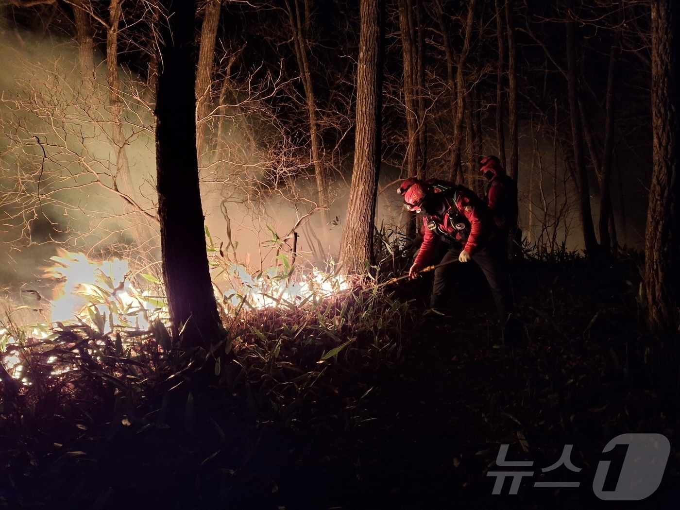 (양양=뉴스1) = 23일 새벽 강원 양양 서면 일대에서 발생한 산불 현장에서 진화대원이 야간 진화 작전을 펼치고 있다. 이번 산불은 22일 오후 6시 16분쯤 서면 서림리의 한 …