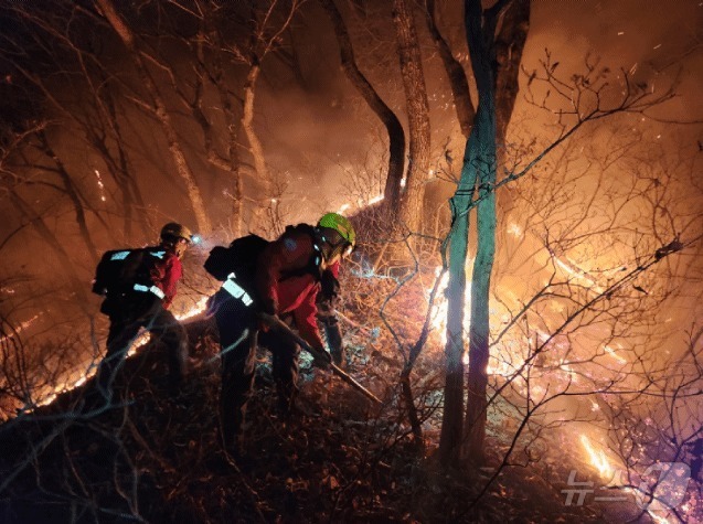 (양양=뉴스1) = 23일 새벽 강원 양양 서면 일대에서 발생한 산불 현장에서 진화대원이 야간 진화 작전을 펼치고 있다. 이번 산불은 22일 오후 6시 16분쯤 서면 서림리의 한 …