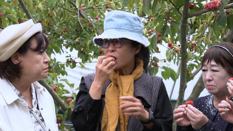 본문 이미지 - KBS 2TV '박원숙의 같이 삽시다'