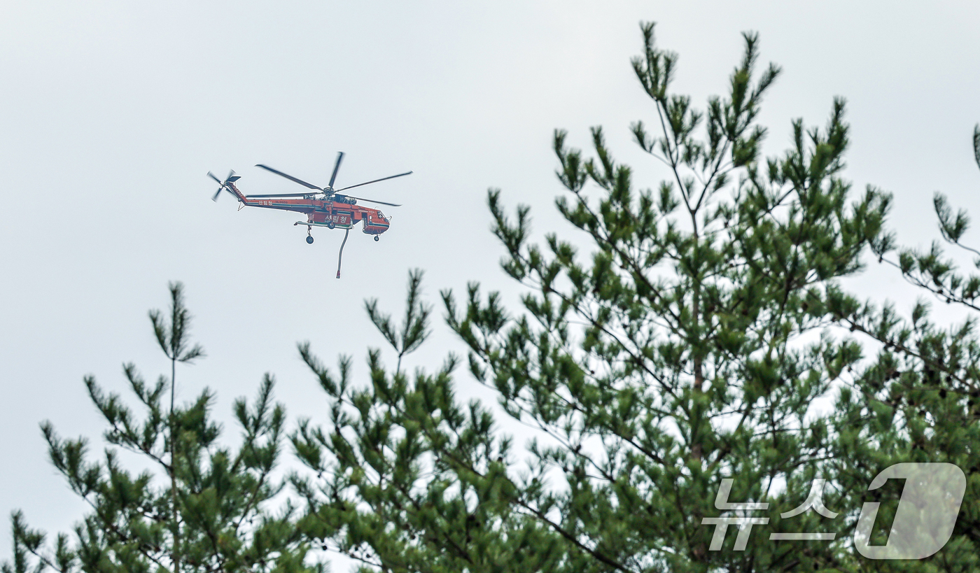 (양양=뉴스1) 이호윤 기자 = 지난 22일 오후 6시16분 강원 양양군 서면 서림리 방태산 인근 야산에서 발생한 산불이 16시간 만에 주불이 진화됐다. 사진은 23일 강원 양양군 …