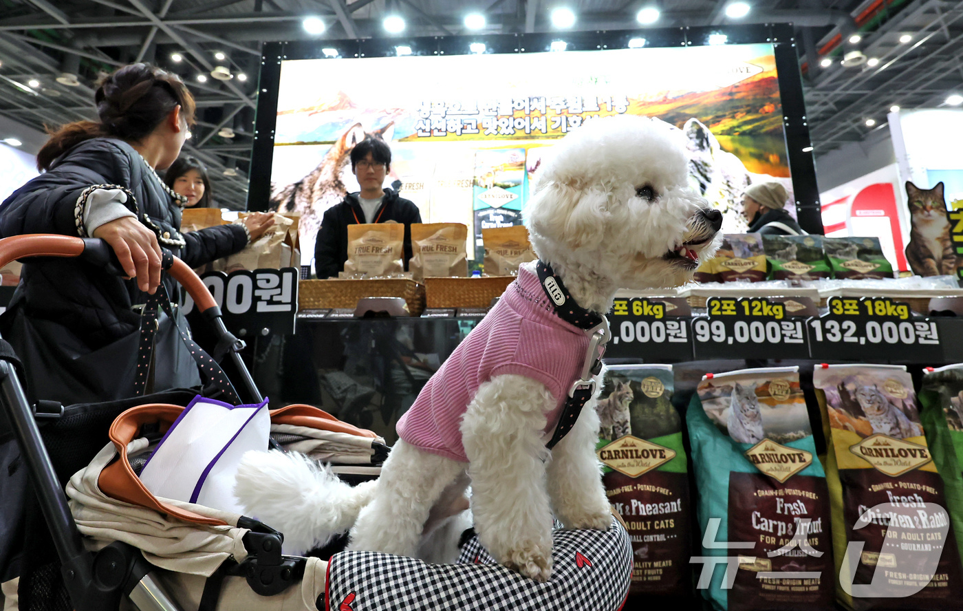 (고양=뉴스1) 장수영 기자 = 23일 경기 고양시 킨텍스에서 진행중인 '2025 메가주 일산'을 찾은 견주와 반려견이 사료를 살펴보고 있다. 2025.11.23/뉴스1