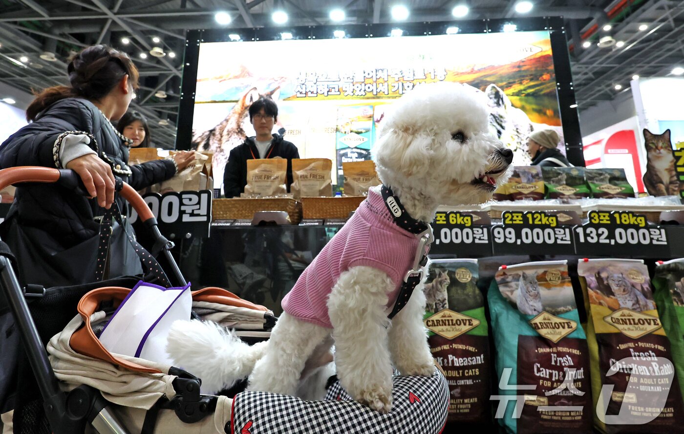 본문 이미지 - 23일 경기 고양시 킨텍스에서 진행중인 '2025 메가주 일산'을 찾은 견주와 반려견이 사료를 살펴보고 있다. 2025.11.23/뉴스1 ⓒ News1 장수영 기자