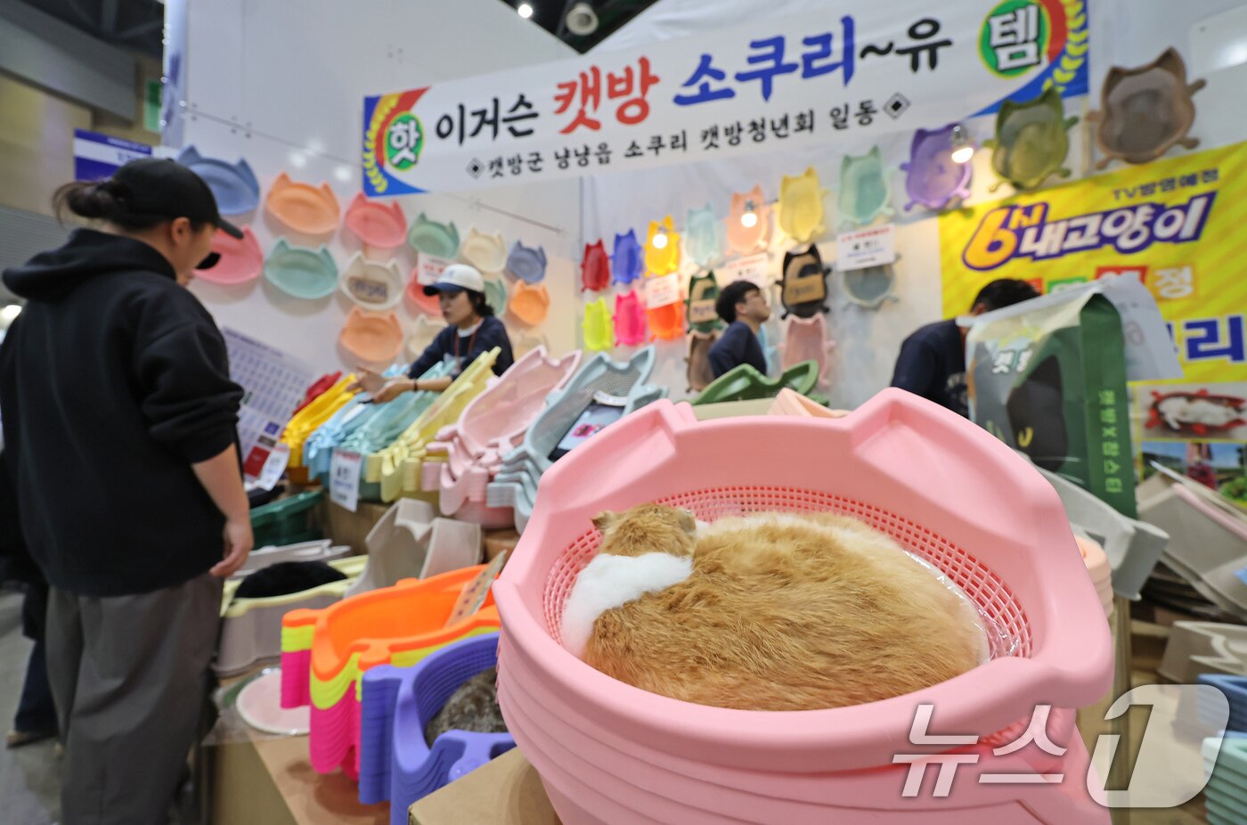 본문 이미지 - 23일 경기 고양시 킨텍스에서 진행중인 '2025 메가주 일산'에 소쿠리 모형 캣방이 전시돼 있다. 2025.11.23/뉴스1 ⓒ News1 장수영 기자