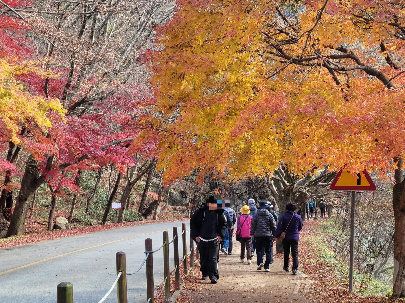 본문 이미지 - 23일 오전 9시께 전북 정읍시 내장산 일대에 나들이객들이 산책로를 걷고 있. 2025.11.23/뉴스1 문채연 기자 ⓒ News1 문채연 기자