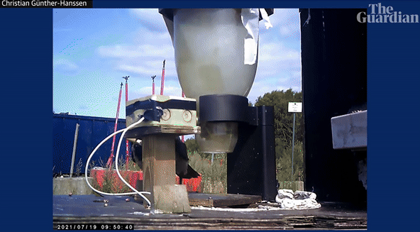 본문 이미지 - 담배꽁초를 물어온 까마귀들에게 자동으로 먹이가 지급되고 있다. 출처=가디언