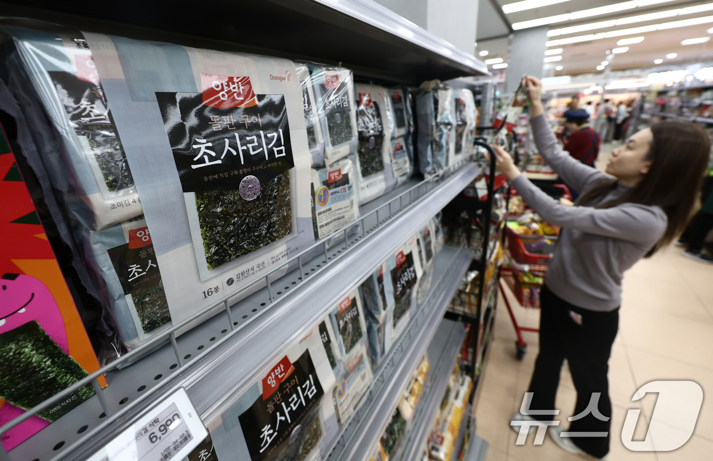 (서울=뉴스1) 김민지 기자 = 올해 김 수출액이 사상 처음으로 10억 달러를 넘었다.해양수산부에 따르면 올해 김 수출액은 이달 20일 기준 10억1500만달러, 약 1조5000억 …