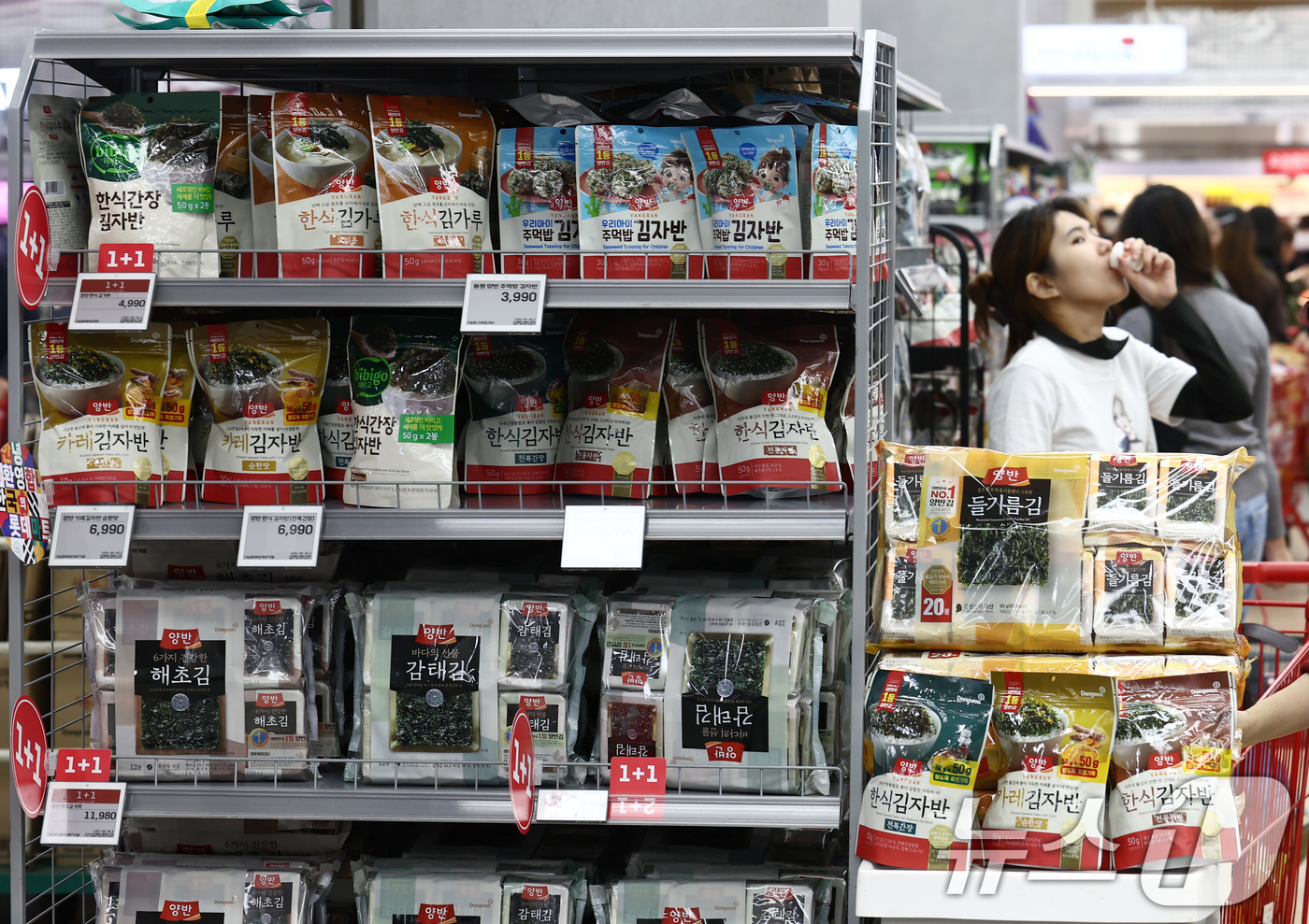 (서울=뉴스1) 김민지 기자 = 올해 김 수출액이 사상 처음으로 10억 달러를 넘었다.해양수산부에 따르면 올해 김 수출액은 이달 20일 기준 10억1500만달러, 약 1조5000억 …