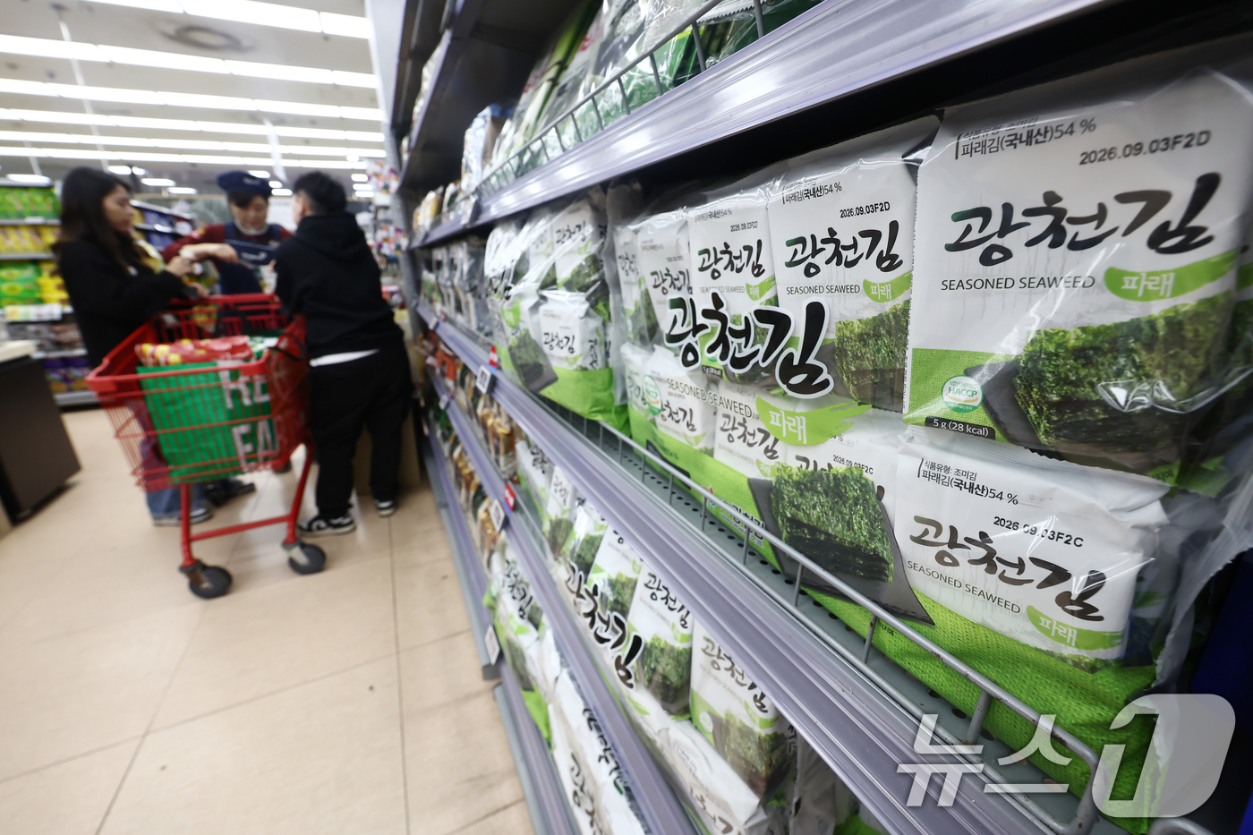 (서울=뉴스1) 김민지 기자 = 올해 김 수출액이 사상 처음으로 10억 달러를 넘었다.해양수산부에 따르면 올해 김 수출액은 이달 20일 기준 10억1500만달러, 약 1조5000억 …