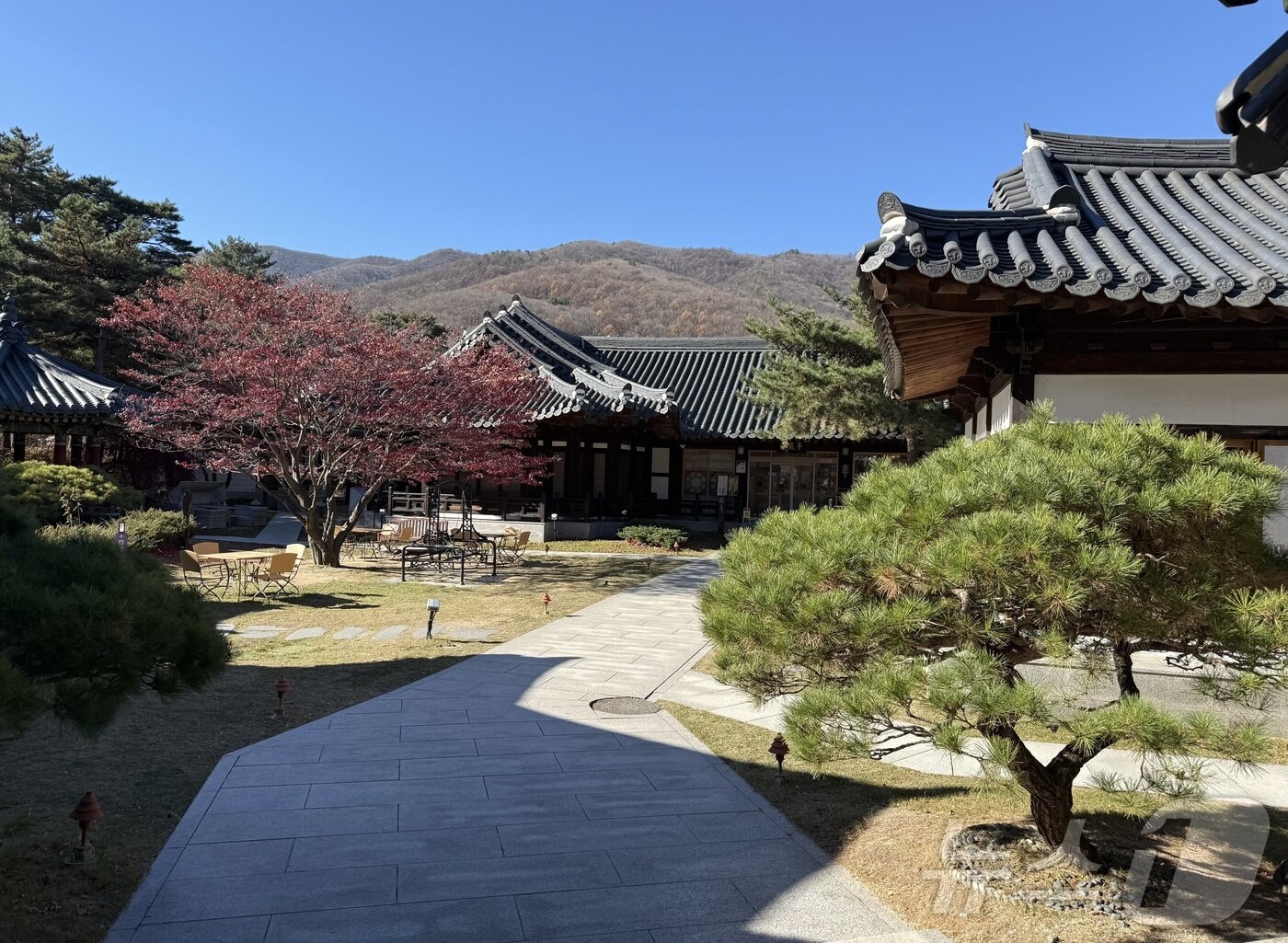 본문 이미지 - 한옥 베이커리 카페 &#39;운암정&#39;ⓒ News1 윤슬빈 관광전문기자