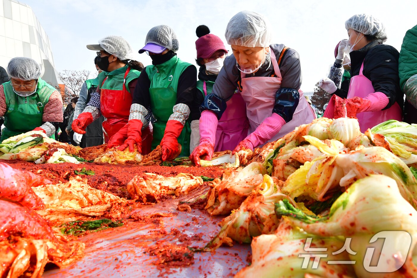 본문 이미지 - 이강덕 경북 포항시장이 24일 포항실내체육관 앞에서 열린 2025 포항시새마을회 사랑의김장담그기 행사에서 배추를 버무리고 있다. 2025.11.24/뉴스1 ⓒ News1 최창호 기자