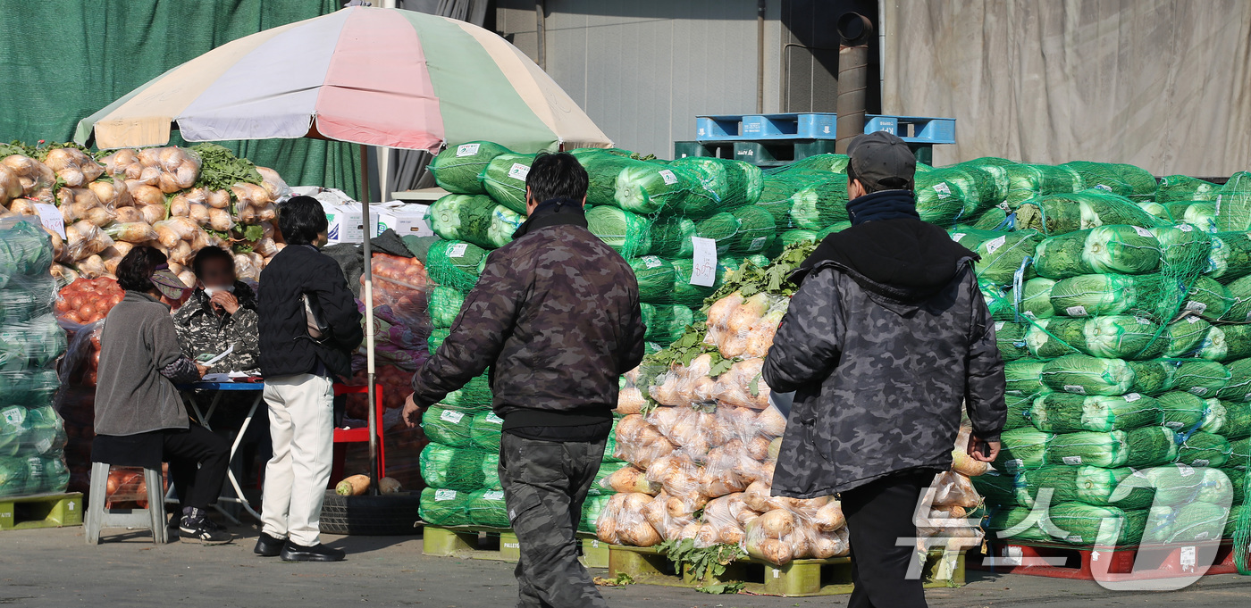 (대구=뉴스1) 공정식 기자 = 24일 본격적인 김장철을 맞아 대구 북구 매천동 대구농수산물도매시장에 무·배추 등 김장 재료를 사려는 발길이 이어지고 있다. 2025.11.24/뉴 …