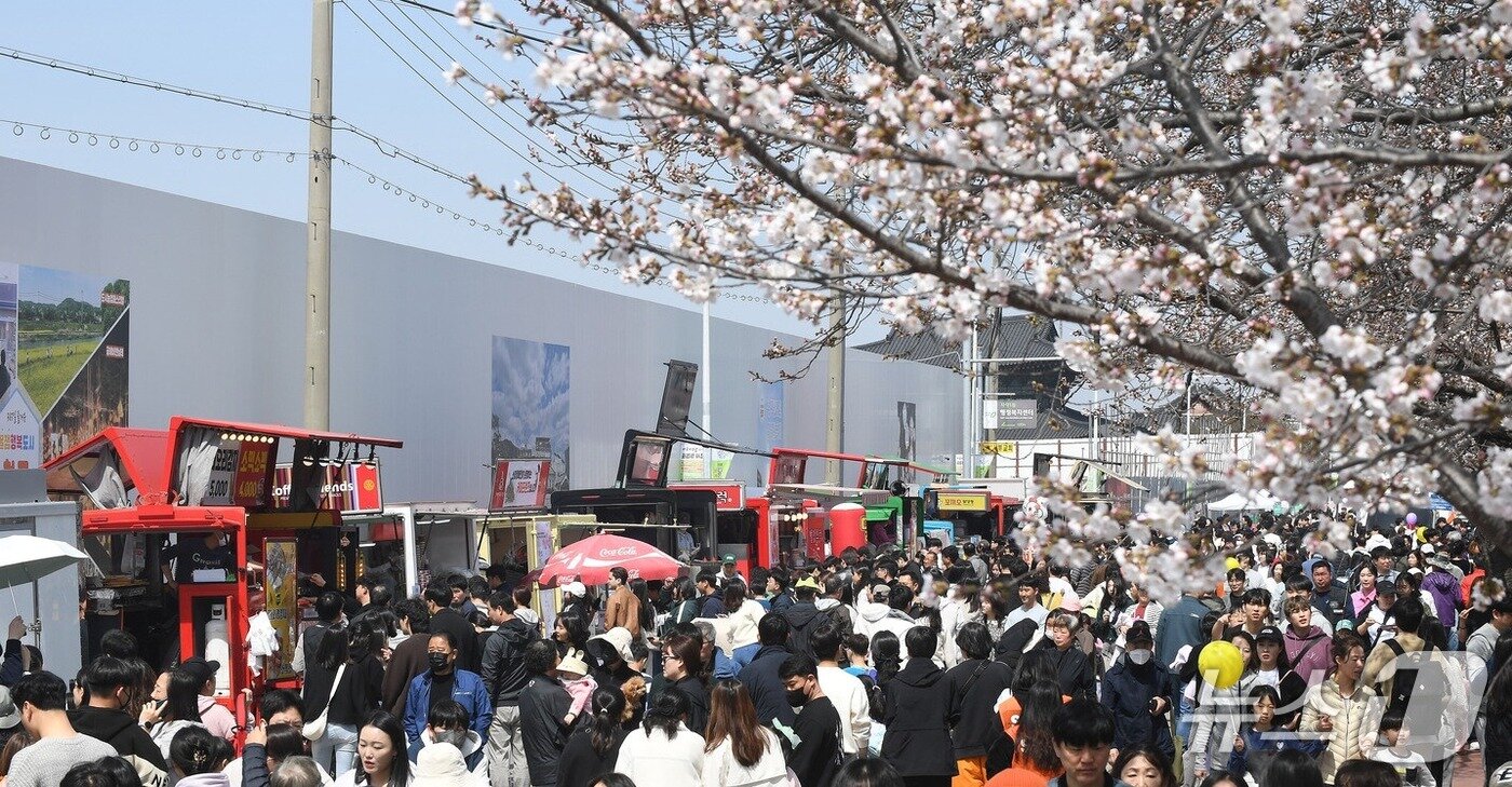 본문 이미지 - 벚꽃과 함께하는 제3회 청주 푸드트럭 축제 모습.&#40;청주시 제공. 재판매 및 DB금지&#41;/뉴스1