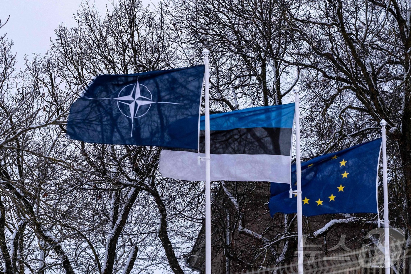 (나르바 AFP=뉴스1) 강민경 기자 = 에스토니아 국경 도시 나르바에서 북대서양조약기구(NATO) 깃발과 에스토니아 국가, 유럽연합(EU) 깃발이 휘날리고 있다. 2024.12. …
