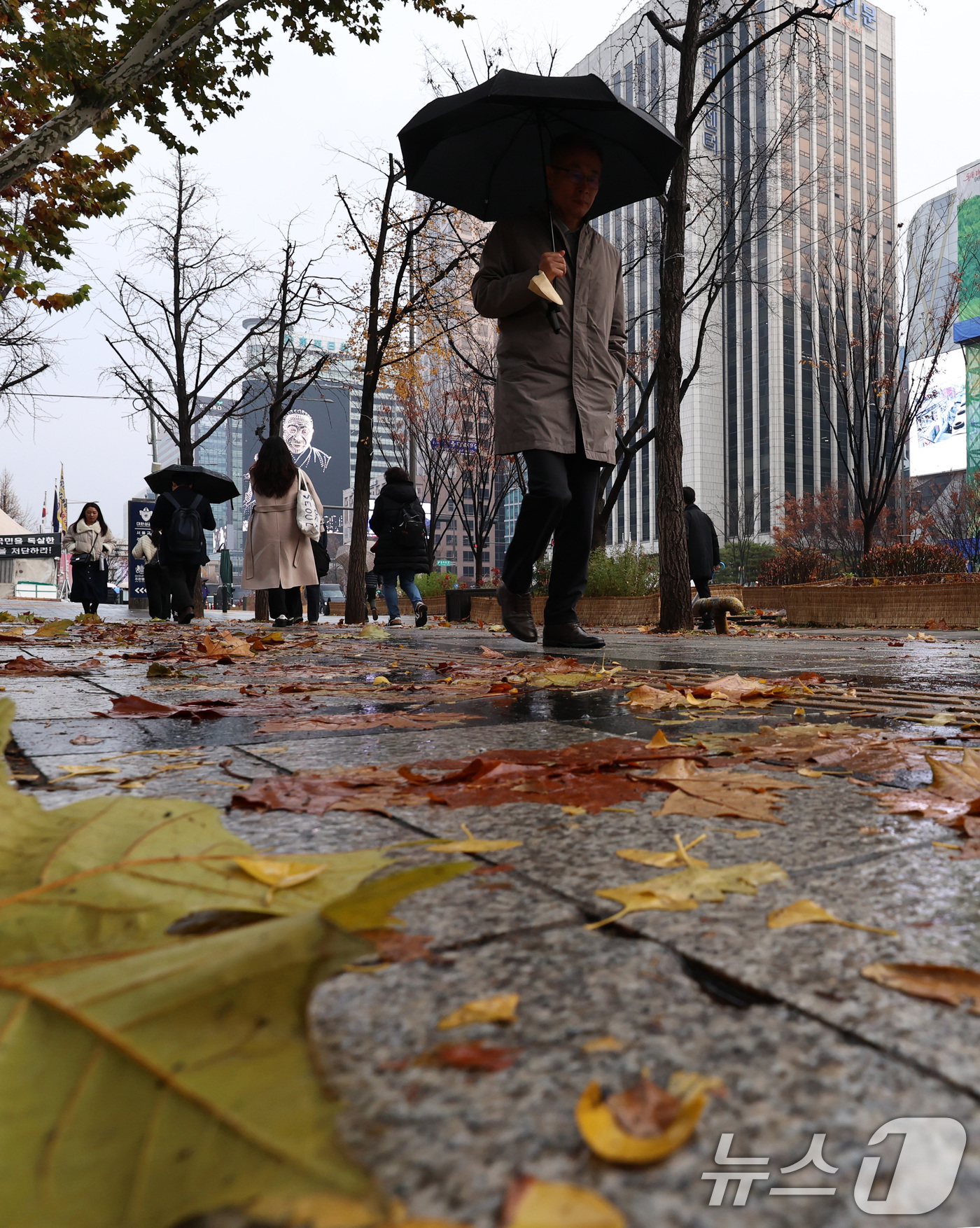 (서울=뉴스1) 구윤성 기자 = 서울 등 수도권 지역에 초미세먼지 주의보가 내려진 25일 오전 서울 시청역 일대에서 우산을 쓴 시민들이 비오는 출근길 발걸음을 옮기고 있다. 202 …