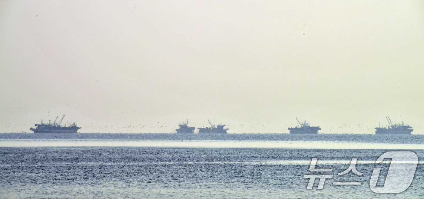 (포항=뉴스1) 최창호 기자 = 25일 오전 경북 포항시 송도해수욕장 앞 바다에서 멸치잡이 어선들이 작업에 한창이다. 2025.11.25/뉴스1