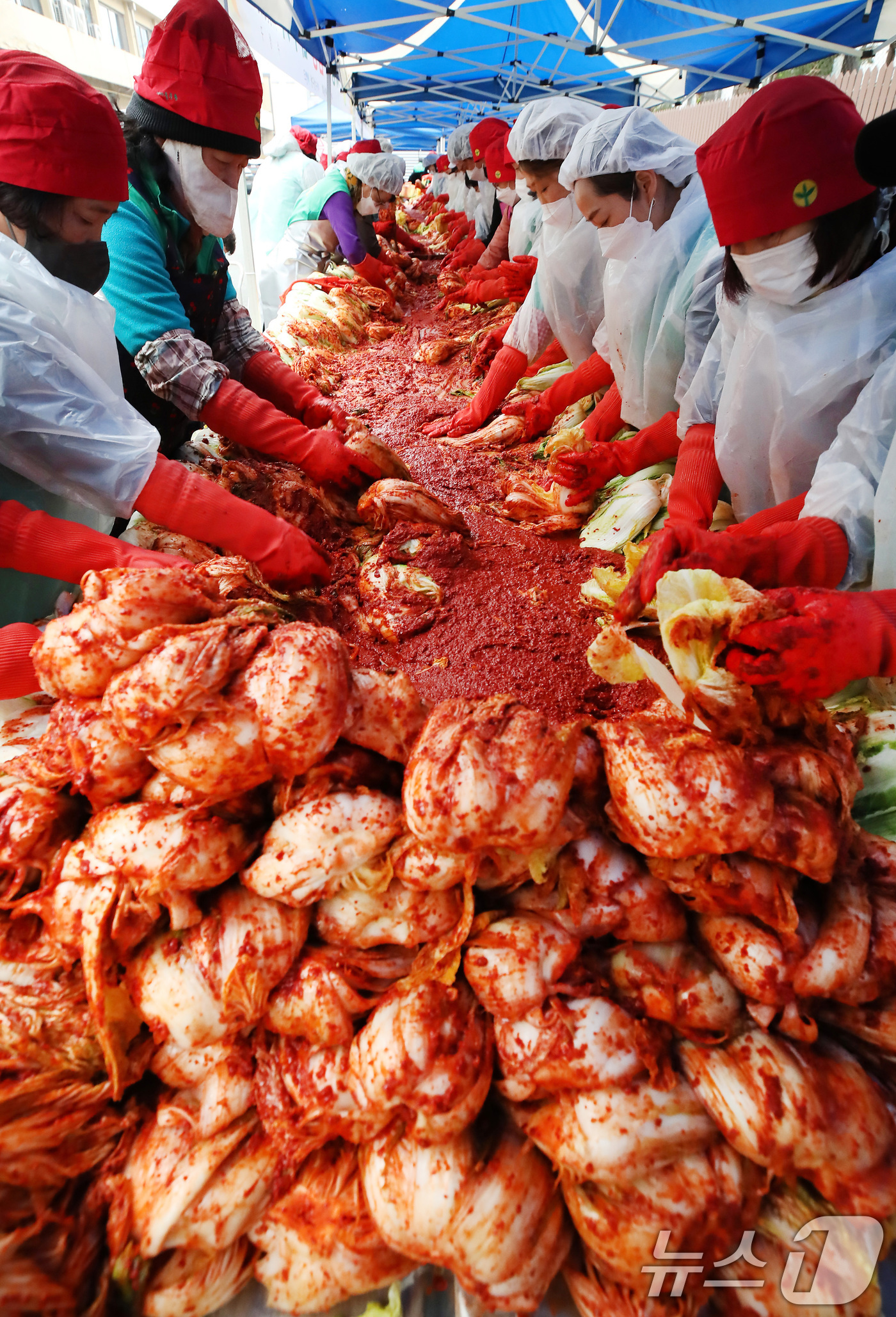 (대구=뉴스1) 공정식 기자 = 25일 오전 대구 수성구청에서 열린 '2025년 사랑의 김장 담그기' 행사에 참여한 수성구새마을회 등 자원봉사자들이 양념을 정성껏 버무리고 있다.이 …
