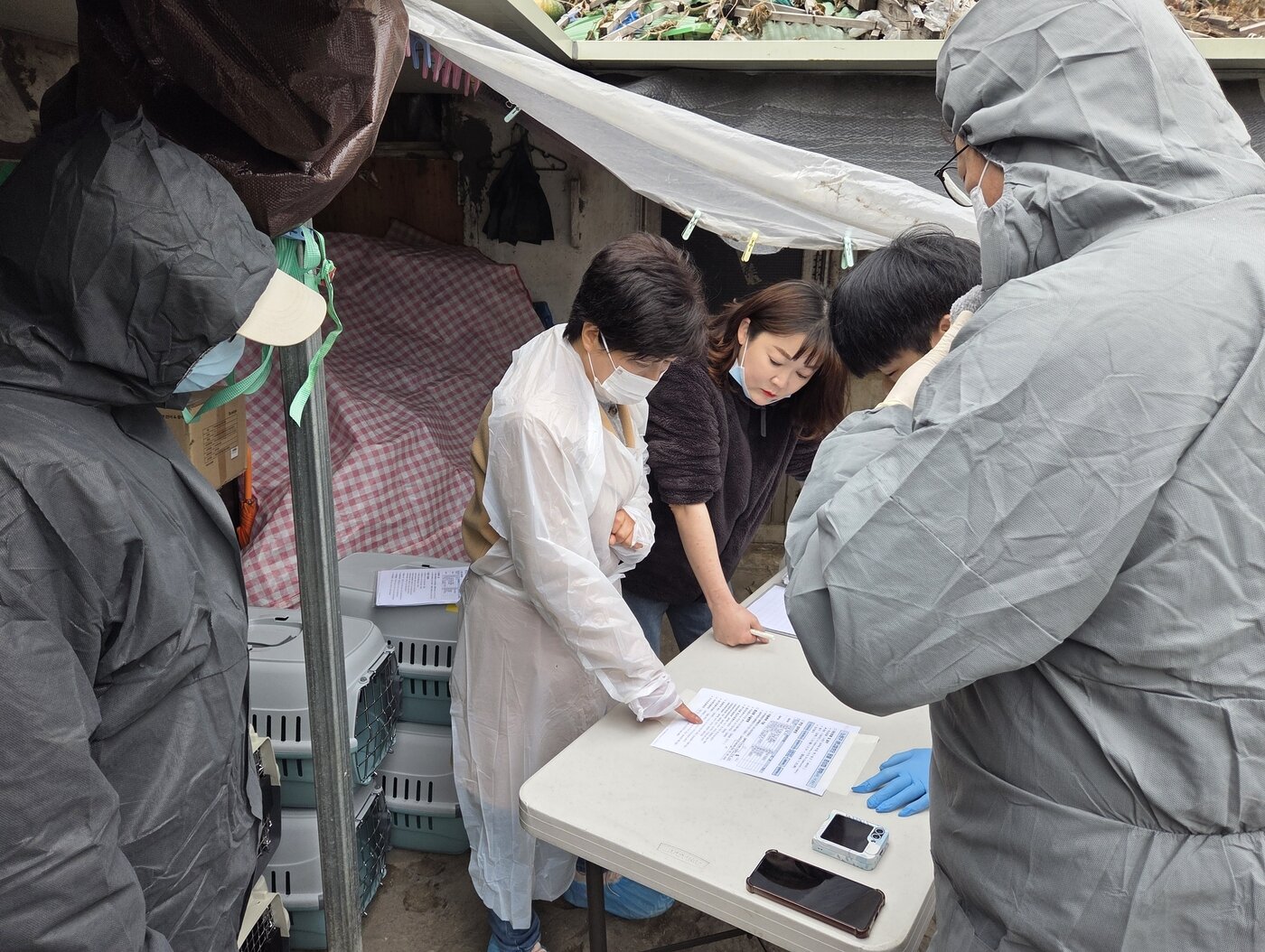 본문 이미지 - 배진선 서울시 동물복지시설팀장(왼쪽에서 두 번째)과 노원구청 공무원들이 애니멀 호딩 구조 현장에서 구조 작업을 준비하고 있다. ⓒ 뉴스1 한송아 기자
