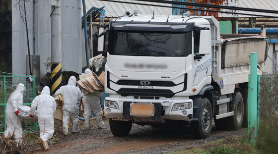 당진 ASF, 사람·물류 통해 유입 가능성…정부 '전방위 방역 강화'