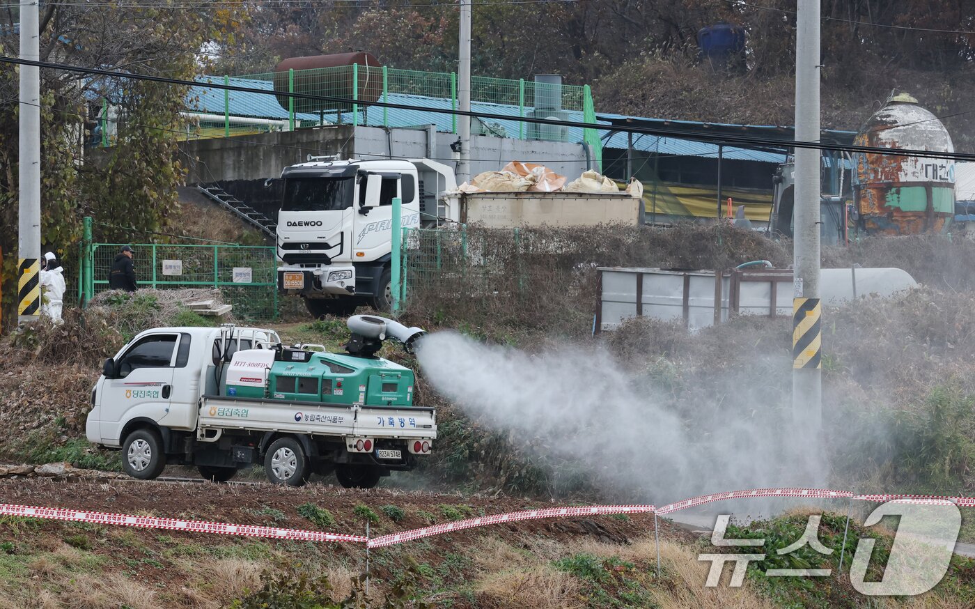 본문 이미지 - 방역 관계자가  아프리카돼지열병(ASF)이 발생한 농장 입구를 소독하고 있다.(자료사진)/뉴스1 DB