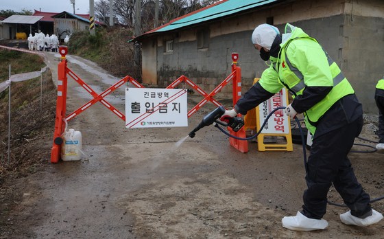 포천 양돈농장서 아프리카돼지열병…인접 8개 시·군 이동중지 명령