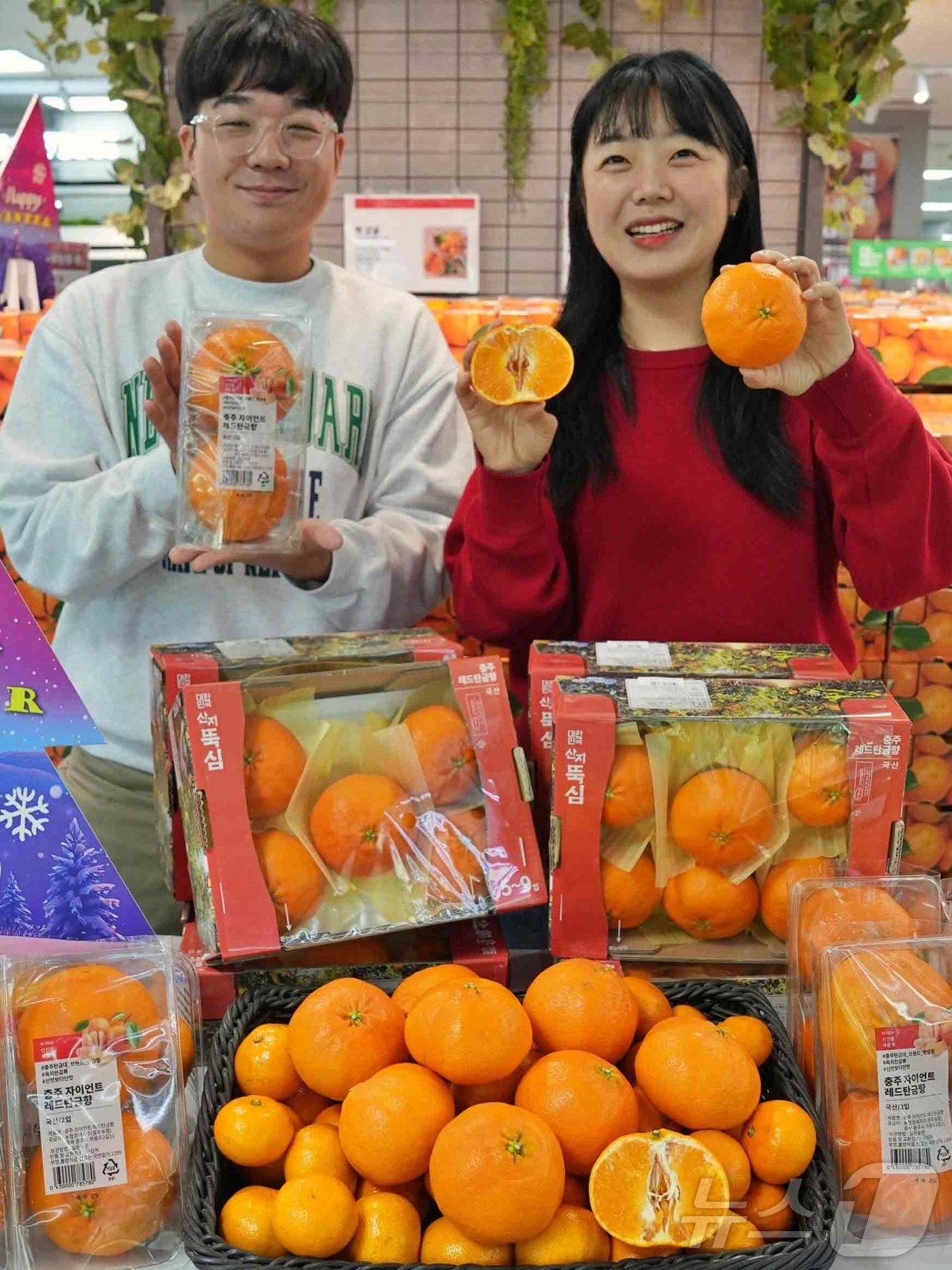 (서울=뉴스1) = 롯데마트가 오는 27일부터 내달 3일까지 '충주 레드탄금향’을 1만 9990원에 판매한다고 26일 밝혔다. 사진은 지난 25일 서울 송파구에 위치한 롯데마트 제 …