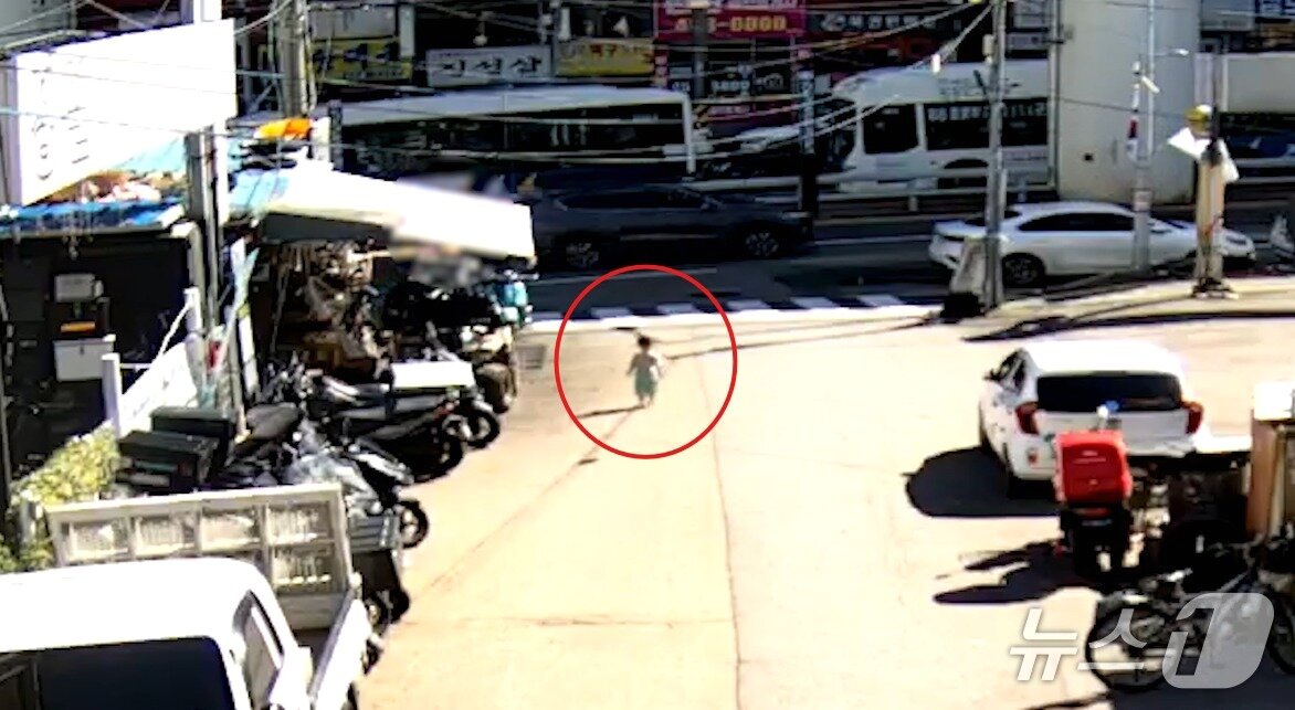 본문 이미지 - A 군이 위험천만하게 도로를 활보하고 있는 모습. &#40;군포경찰서 제공. 재판매 및 DB 금지&#41; 2025.11.26/뉴스1 