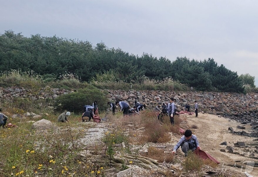 본문 이미지 - 태림페이퍼 안산공장 임직원들이 쓰레기를 수거하는 모습. &#40;태림페이퍼 제공&#41;