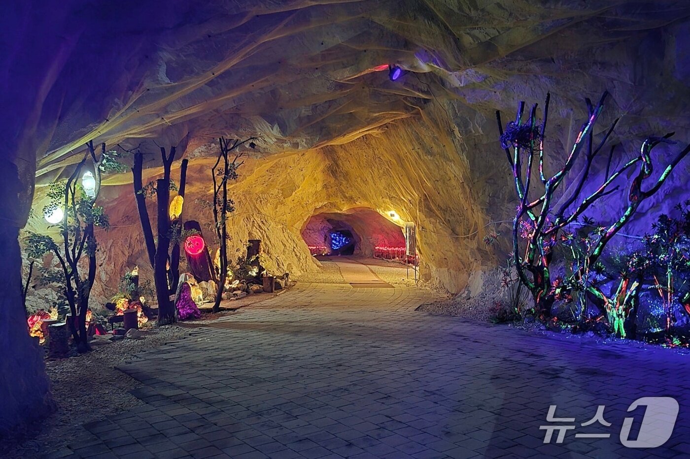 본문 이미지 -  충주 활옥동굴 내부.&#40;충주시닷컴 게시글 캡처. 재판매 및 DB금지&#41;/뉴스1