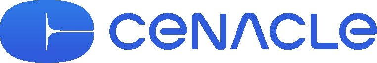 본문 이미지 - /뉴스1