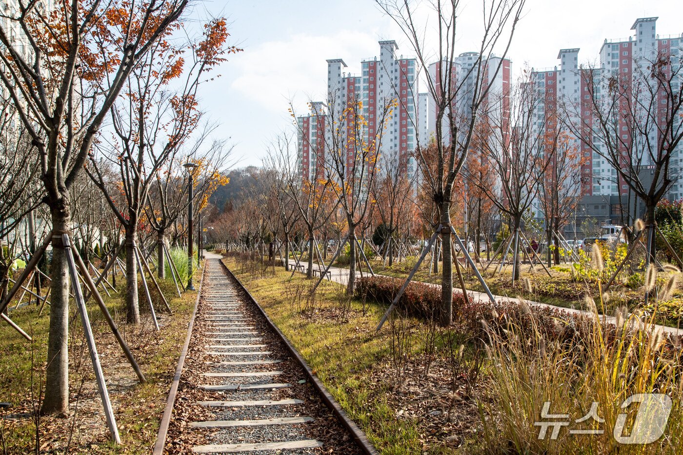 본문 이미지 - 군산시가 160억원을 들여 조성한 2.6 구간의 철길 숲이 26일 준공됐다.&#40;군산시 제공, 재판매 및 DB금지&#41;