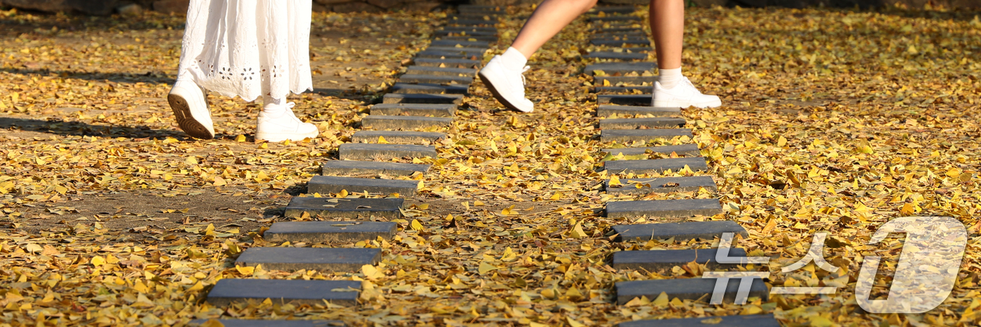 (전주=뉴스1) 유경석 기자 = 26일 전북 전주시 전주향교를 찾은 시민과 관광객들이 떨어진 은행나무 낙엽을 보며 늦가을 정취를 만끽하고 있다. 2025.11.26/뉴스1
