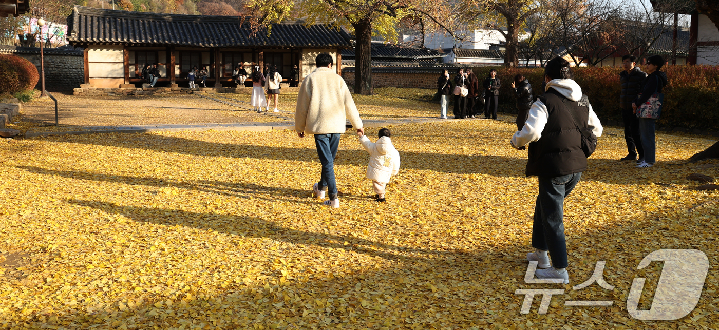 (전주=뉴스1) 유경석 기자 = 26일 전북 전주시 전주향교를 찾은 시민과 관광객들이 떨어진 은행나무 낙엽을 보며 늦가을 정취를 만끽하고 있다. 2025.11.26/뉴스1