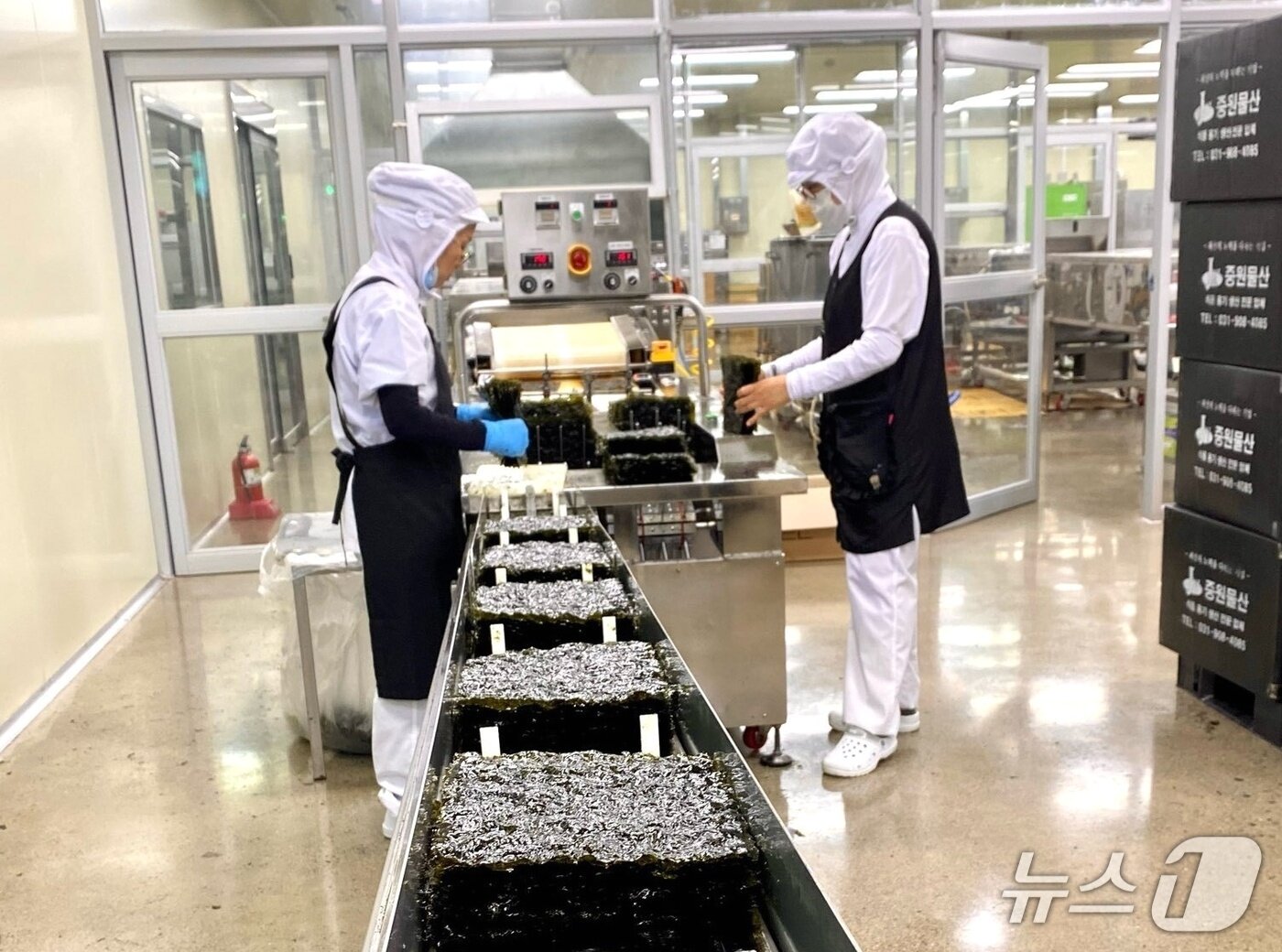 본문 이미지 - 김 가공업체