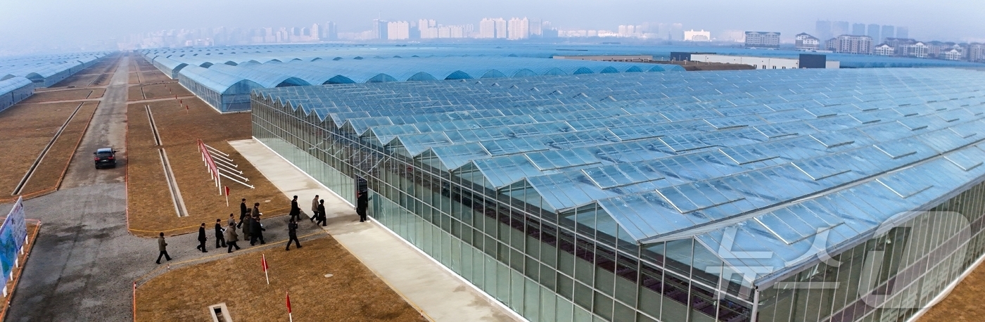 (평양 노동신문=뉴스1) = 북한 노동당 기관지 노동신문은 27일 김정은 당 총비서가 26일 신의주온실종합농장을 현지지도했다고 보도했다. [국내에서만 사용가능. 재배포 금지. DB …