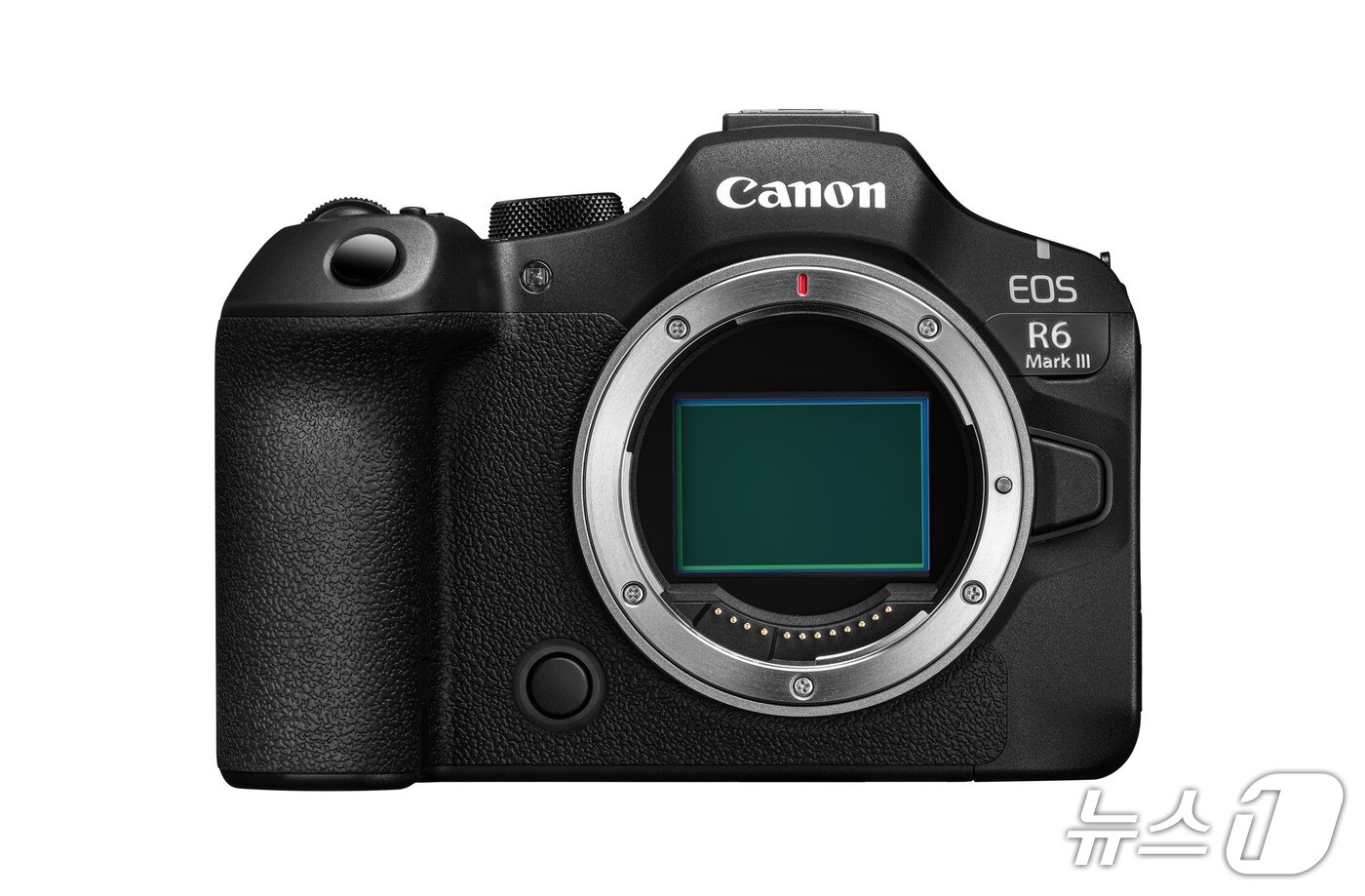 본문 이미지 - 캐논 풀프레임 미러리스 카메라 EOS R6 Mark III(캐논코리아 제공)