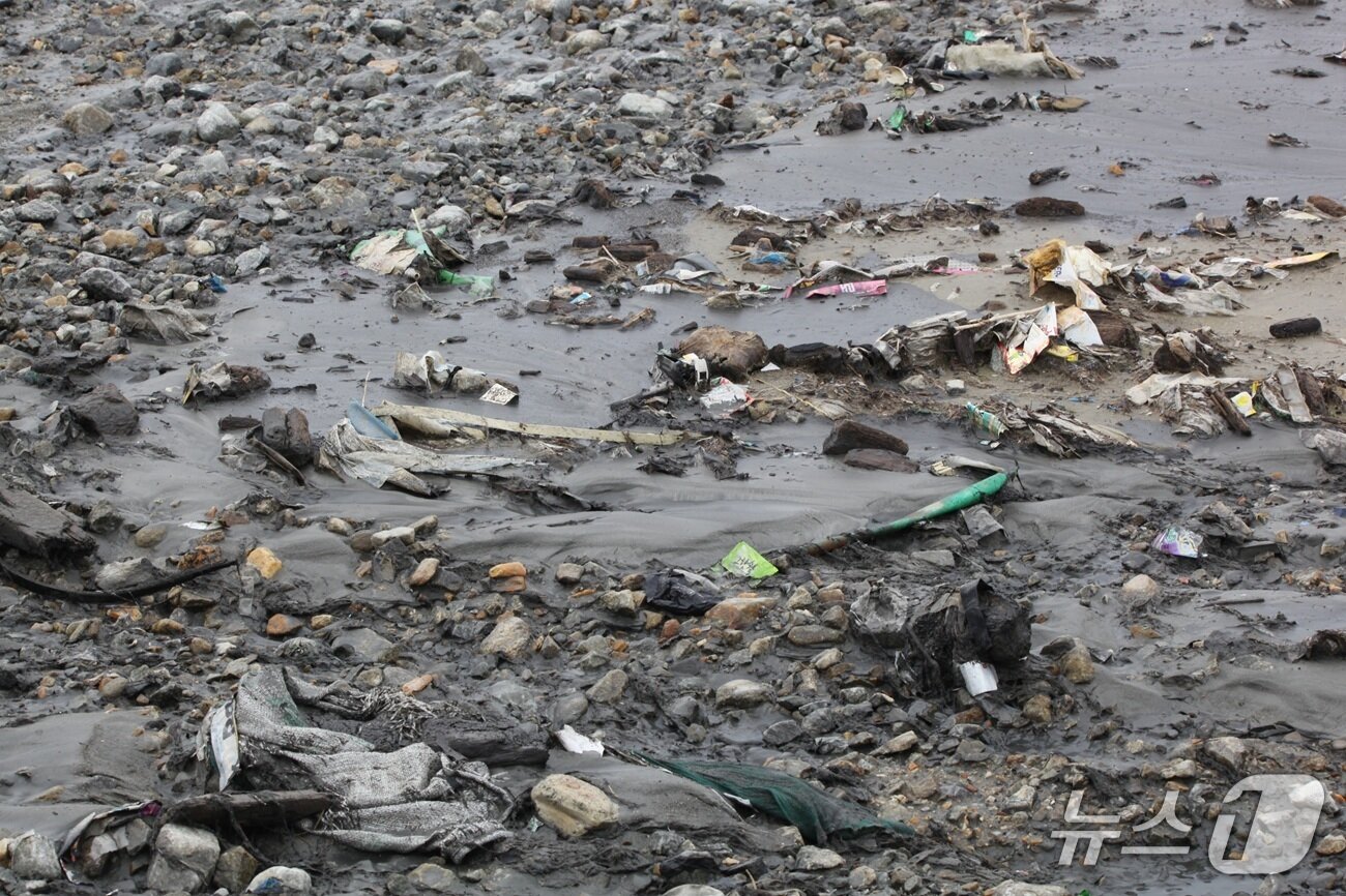 본문 이미지 - 음료수 캔 등 생활쓰레기들이 널브러져 있다. 어떤 쓰레기들은 반쯤 파묻혀 토사와 함께 진흙 속으로 삼켜질 듯 위태롭다. 뉴스1 ⓒ News1 유준상 기자