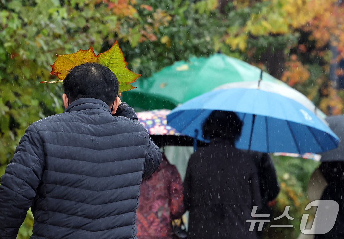 (서울=뉴스1) 이호윤 기자 = 전국 대부분 지역에 비가 내린 27일 서울 종로구 대학로 일대에 한 시민이 나뭇잎으로 비를 막으며 발걸음을 옮기고 있다. 2025.11.27/뉴스1 …