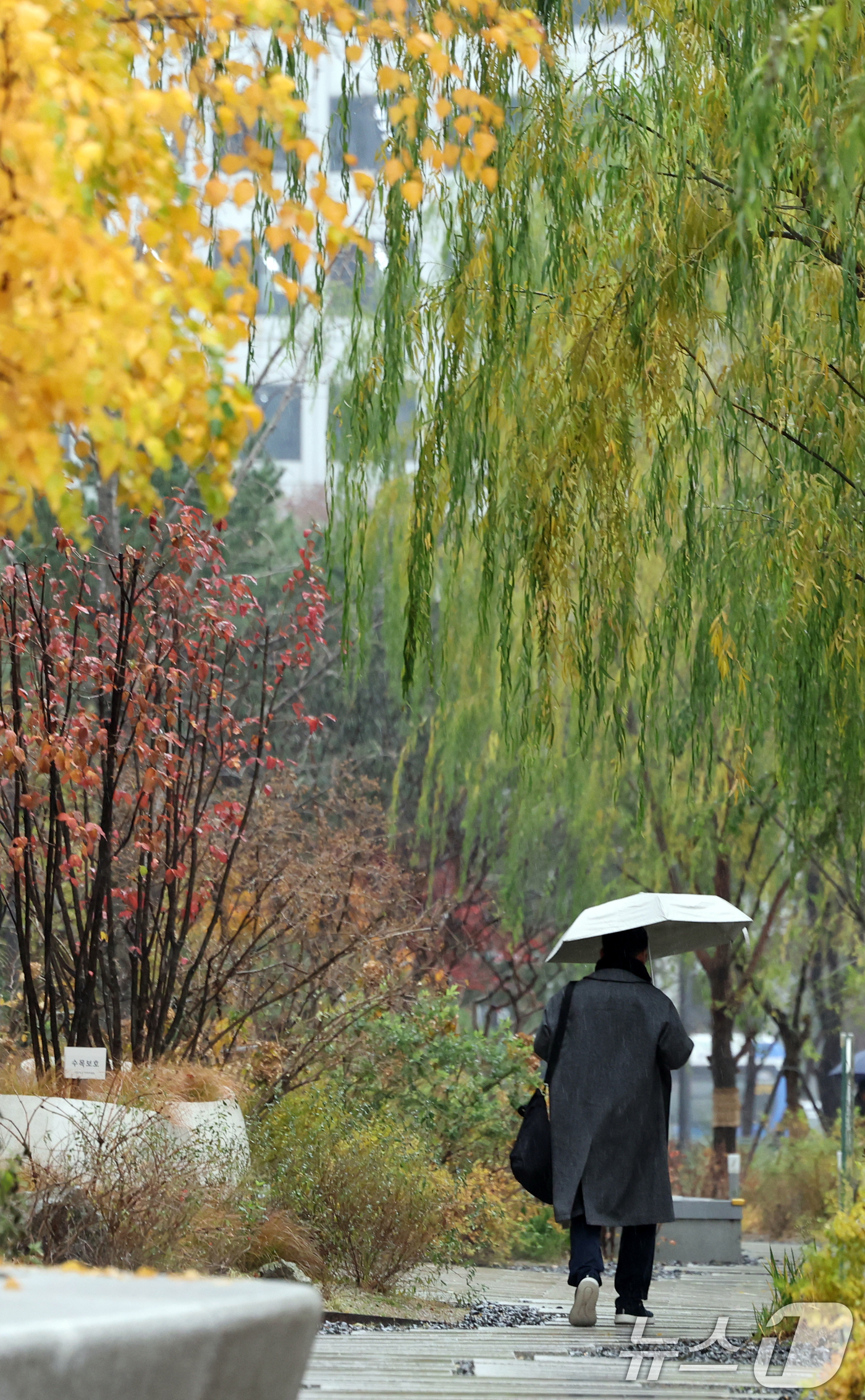 (서울=뉴스1) 이호윤 기자 = 전국 대부분 지역에 비가 내린 27일 서울 종로구 일대에 우산을 쓴 시민이 발걸음을 옮기고 있다. 2025.11.27/뉴스1