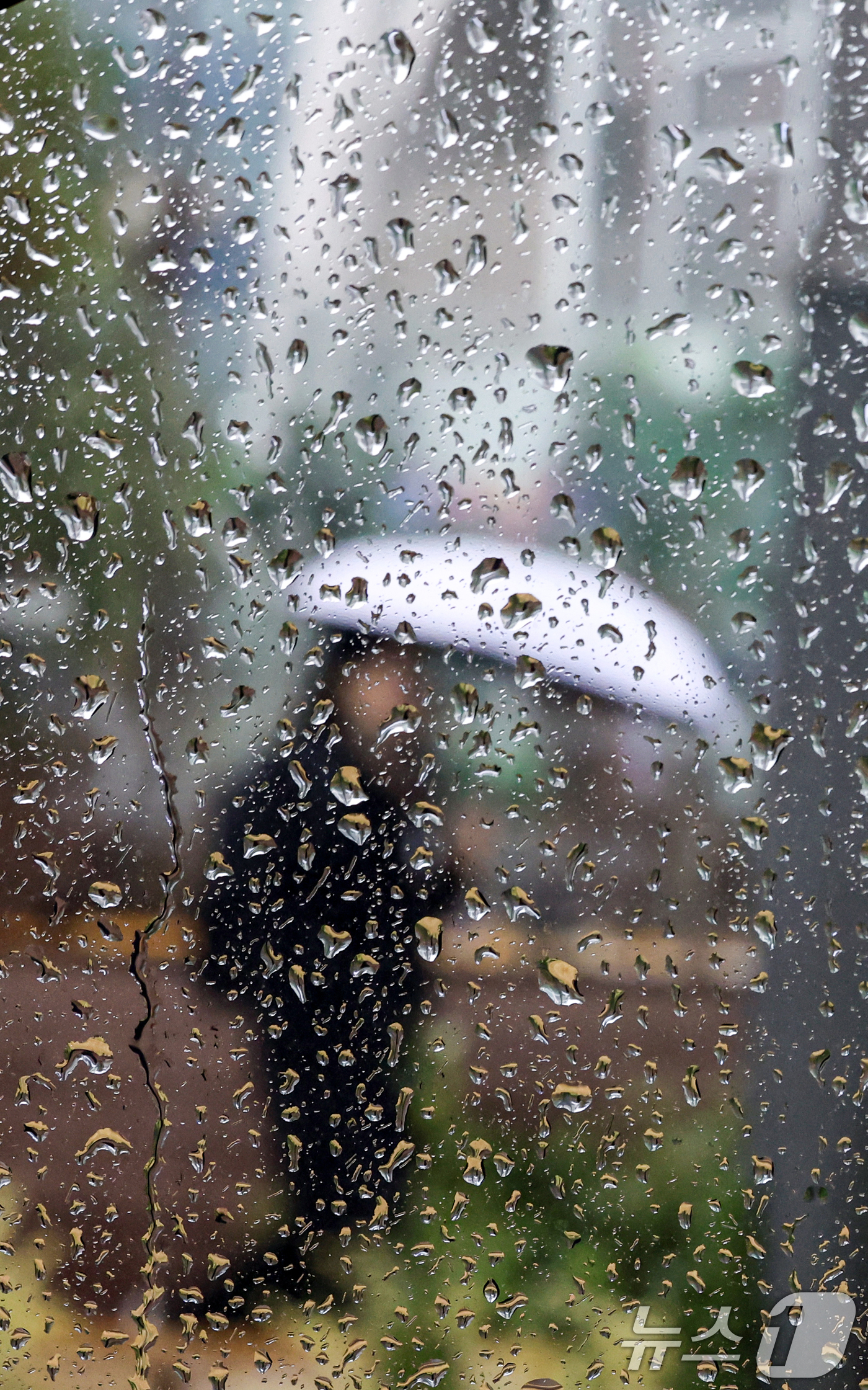 (서울=뉴스1) 이호윤 기자 = 전국 대부분 지역에 비가 내린 27일 서울 종로구 일대에서 창 밖으로 우산을 쓴 시민이 발걸음을 옮기고 있다. 2025.11.27/뉴스1