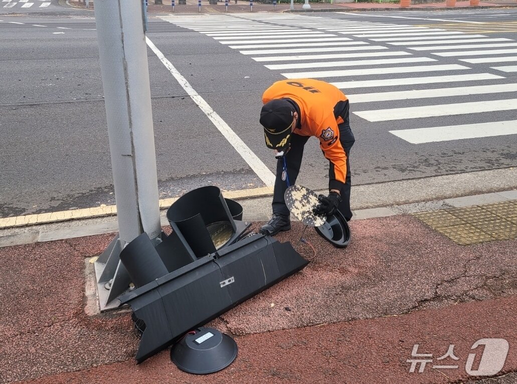 본문 이미지 - 27일 오전 제주시 노형동에서 강풍에 떨어진 신호등.(제주도소방안전본부 제공. 재판매 및 DB 금지)