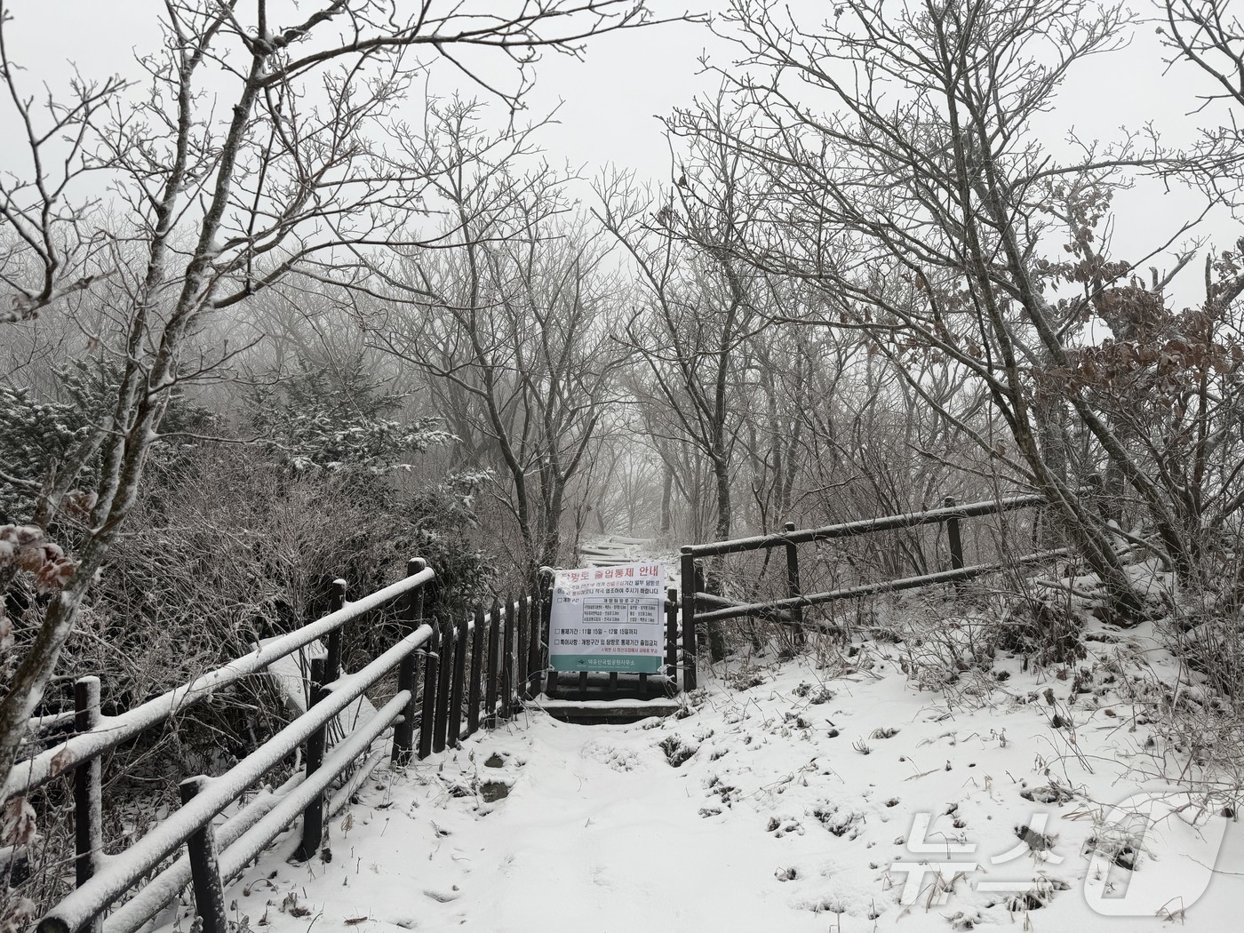 (무주=뉴스1) 장수인 기자 = 27일 눈이 내린 전북 무주군의 덕유산 탐방로에 출입 통제 플래카드가 걸려있다.(덕유산국립공원사무소 제공. 재판매 및 DB 금지) 2025.11.2 …
