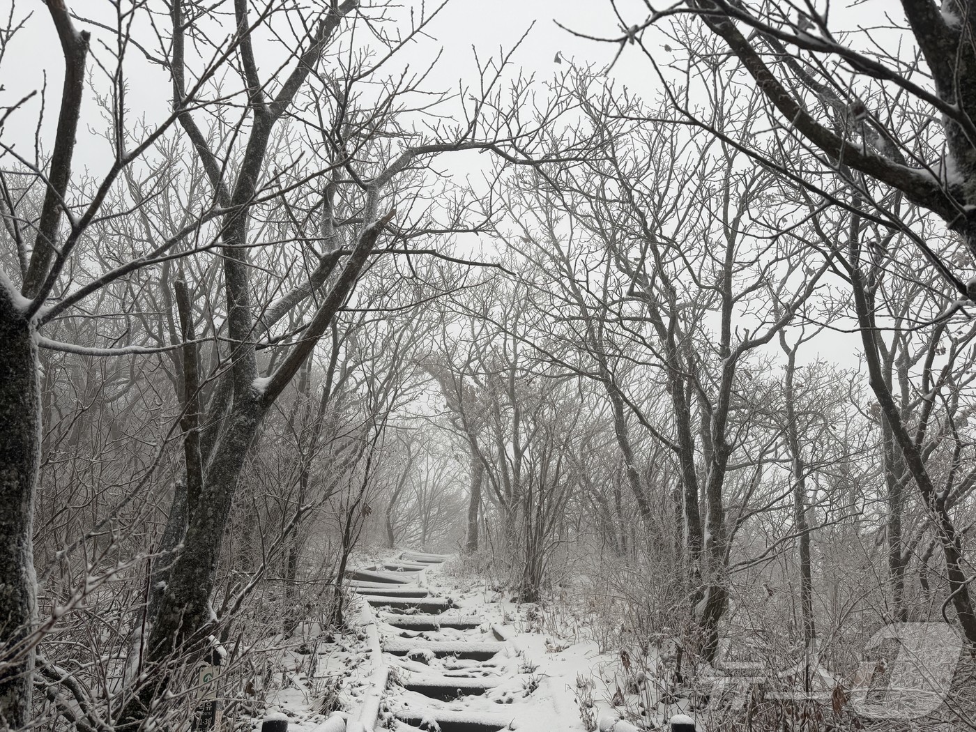 (무주=뉴스1) 장수인 기자 = 27일 눈이 내린 전북 무주군의 덕유산의 모습.(덕유산국립공원사무소 제공. 재판매 및 DB 금지) 2025.11.27/뉴스1