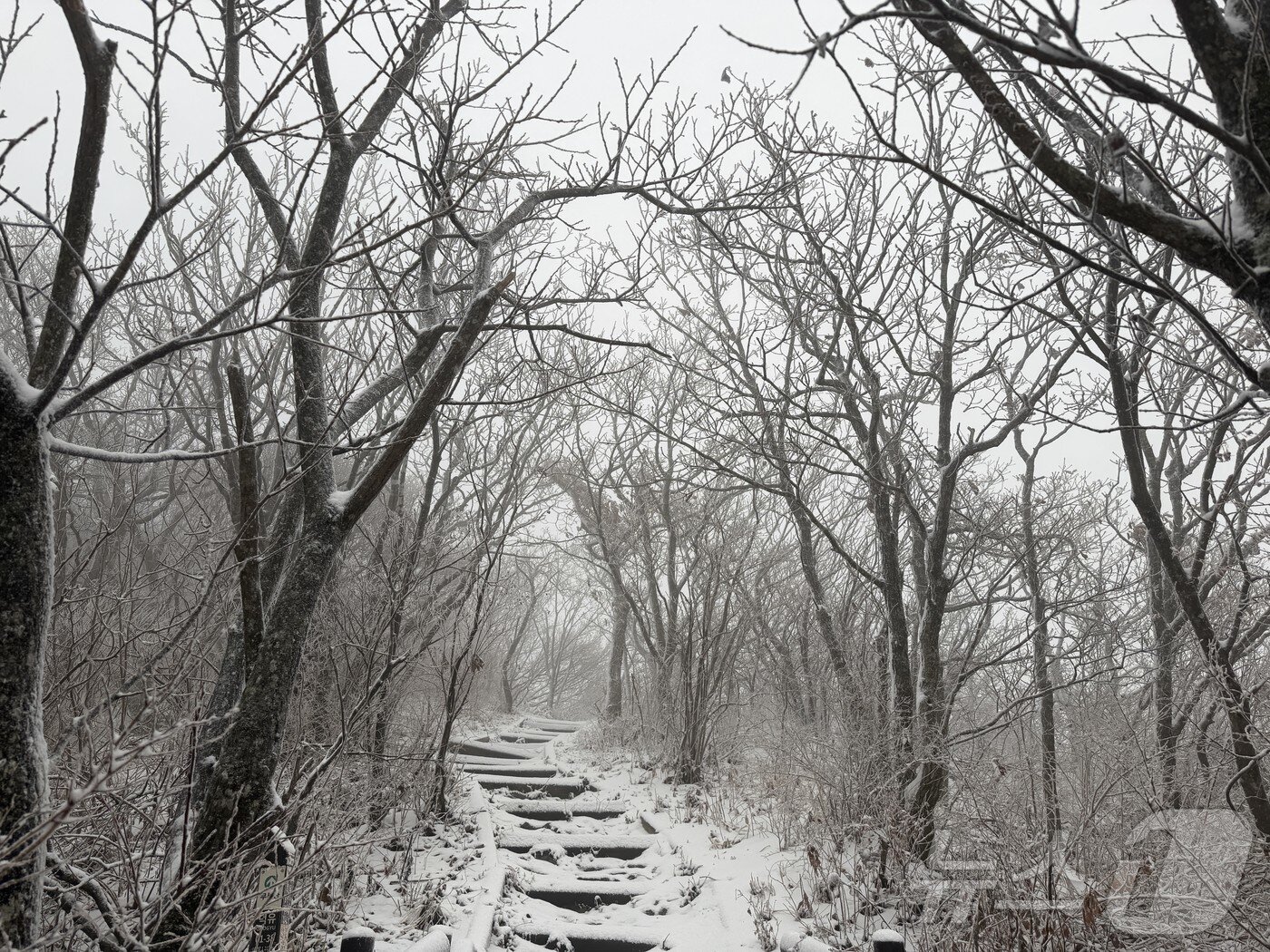 본문 이미지 - 27일 눈이 내린 전북 무주군의 덕유산의 모습.&#40;덕유산국립공원사무소 제공. 재판매 및 DB 금지&#41; 2025.11.27/뉴스1 ⓒ News1 장수인 기자