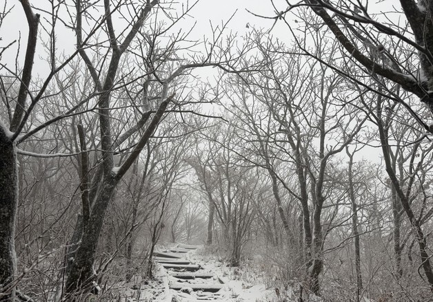 무주 설천봉 20㎝ 눈…전북 밤까지 비 또는 눈