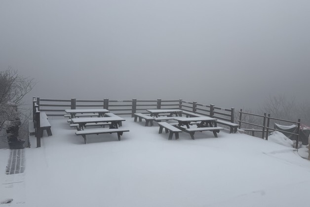 하얗게 쌓인 눈