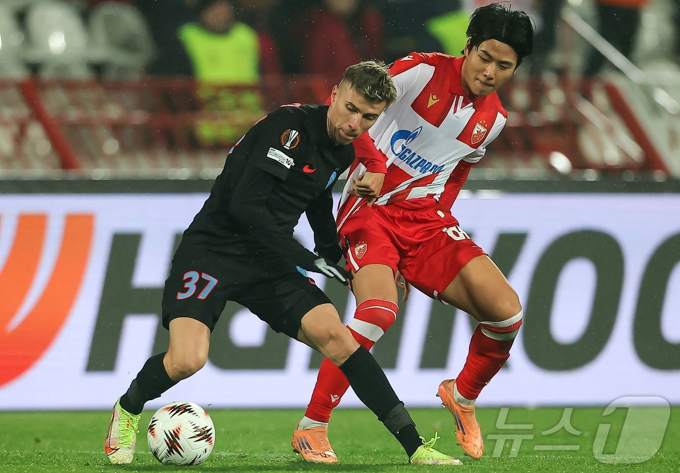 본문 이미지 - 새르비아 즈베즈다의 설영우. ⓒ AFP=뉴스1